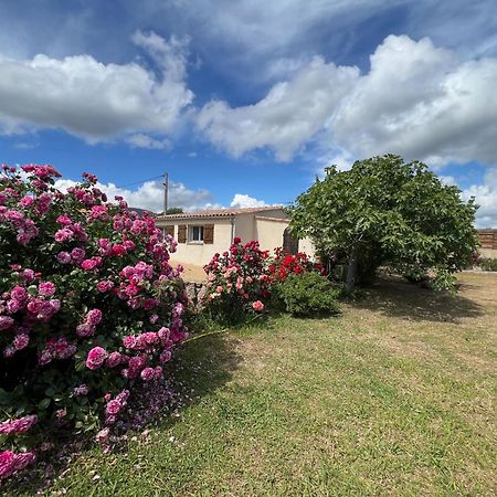 Residence Casa Favalella Порто Поло Екстериор снимка